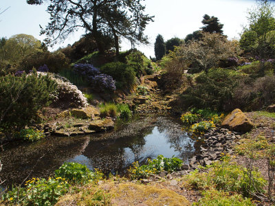 In the Royal Botanical Gardens, Edinburgh