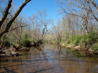 Dry Seneca Creek in Spring