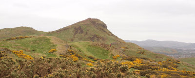 Arthurs Seat from the park itself