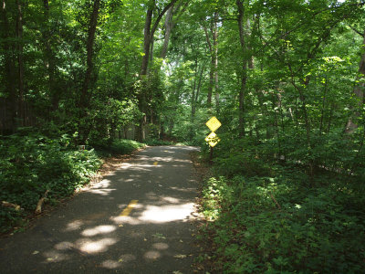 Shaded section of the Mt. Vernon Trail