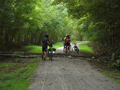 Debris on the trail from the storm last night
