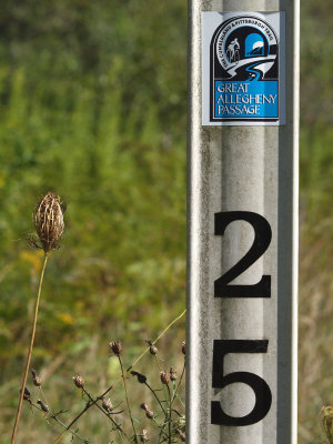 A mile marker on the Great Allegheny Passage