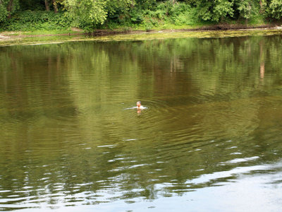 A dip in the river