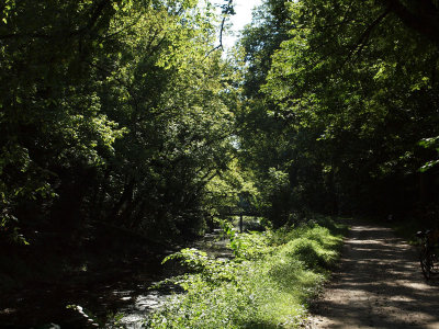 In the shade near mile 8 of the towpath