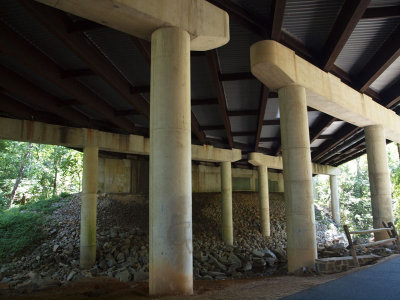 Route 50 bridge over the W&OD trail