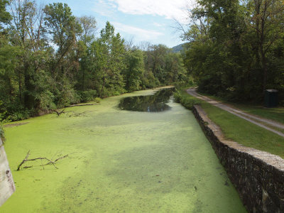 Canal from Lock 75, the one closest to Cumberland