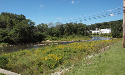 Casselman river outside Rockwood, PA