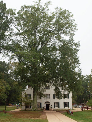 Tavern at Great Falls