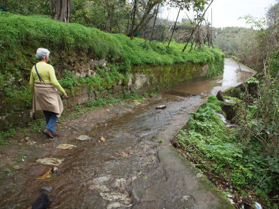 Water on the path