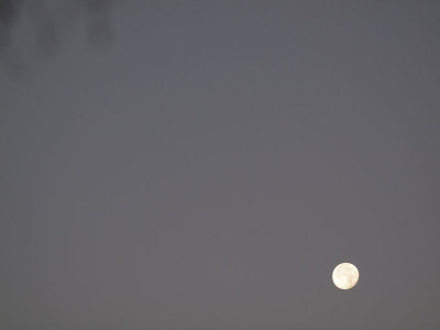 Early morning moon at Sorrento