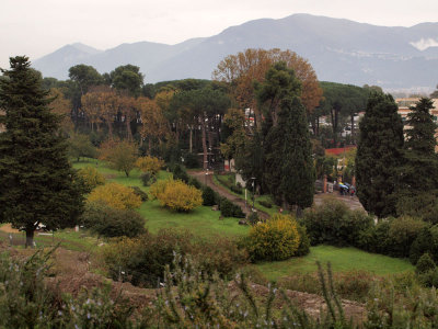 Tree lined area below the ruins at Pompeii