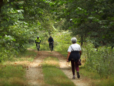 Bikers on the trail