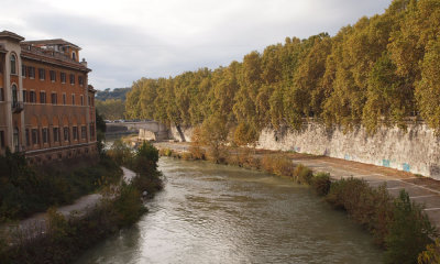 View from the Fabricius bridge