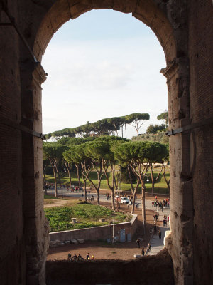 A view from an opening in the Colesseum