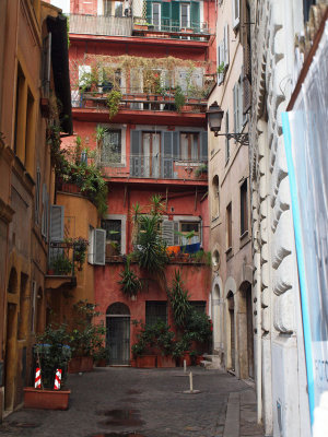 An alleyway with greenery