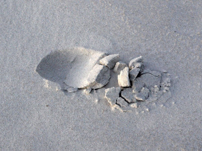 The footprint