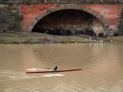 Rowing on the Arno river.jpg
