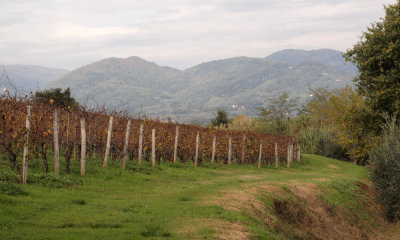 Distant hills from the farm, Tuscany, Italy