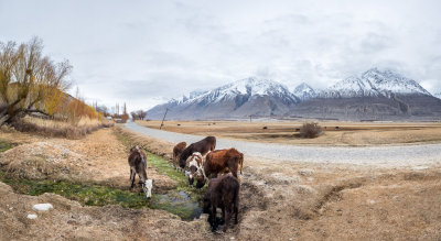Rural scene - Wakhan Valley