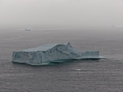 Iceberg Field Near Twillingate -1, Newfoundland