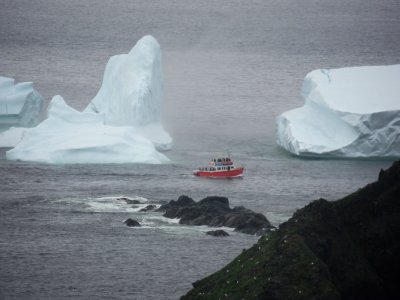 Iceberg Field Near Twillingate -2, Newfoundland