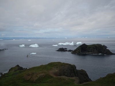Iceberg Field Near Twillingate -4, Newfoundland