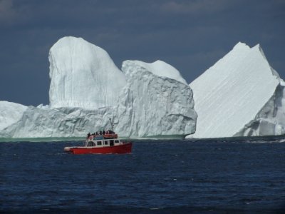 Iceberg Field Near Twillingate -3, Newfoundland