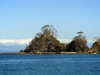Frigatebird Home