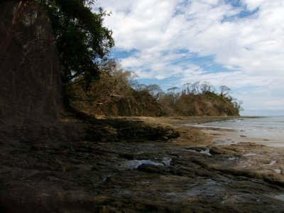 Low Tide 1