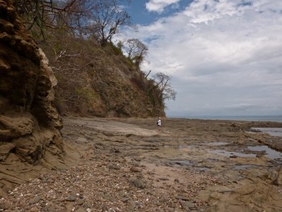 Low Tide 2