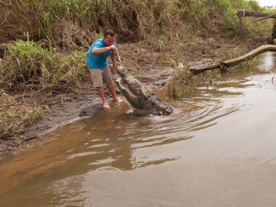 Snack for Crocodile