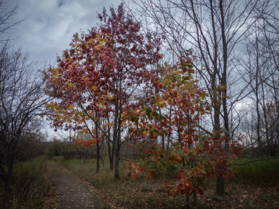 Colours of Late October