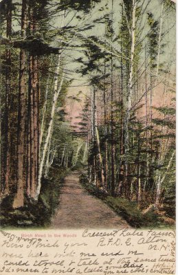 1halfmoonpostcard4.jpg