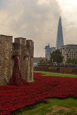 Tower of London with poppies