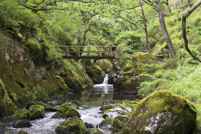 Afon Dwyryd