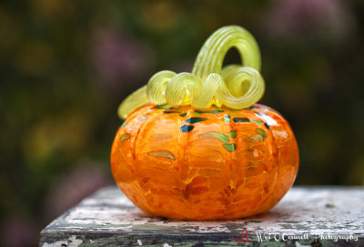 Glass Pumpkin