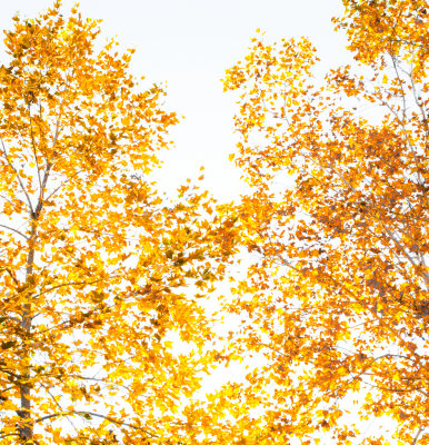 _DSC9549E.jpg