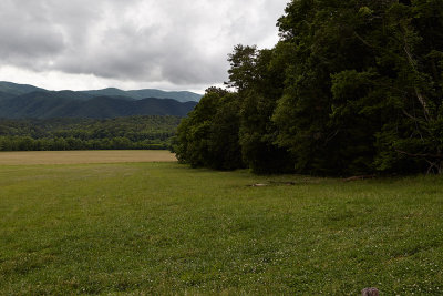 Cades Cove 02.jpg