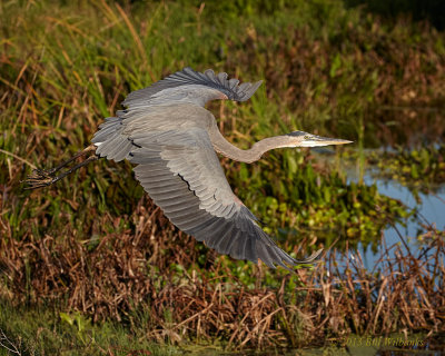 GBH Flight 01.jpg