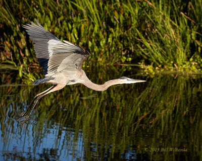 GBH Flight 02.jpg