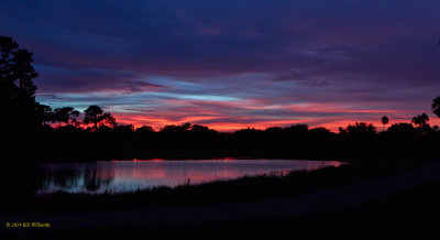 Sunset 8 15.jpg