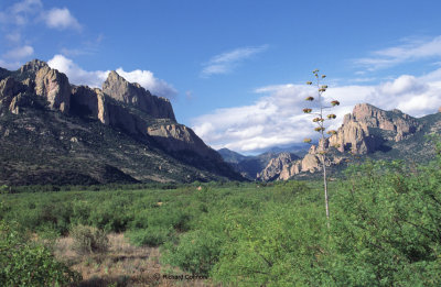 Portal Arizona