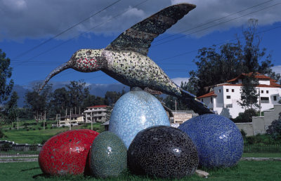 birding big in Ecuador