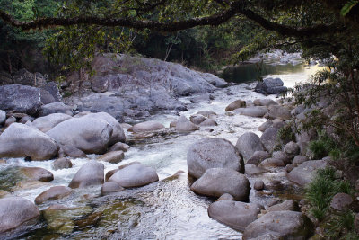 Mossman Gorge