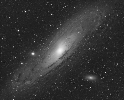M31 Luminance