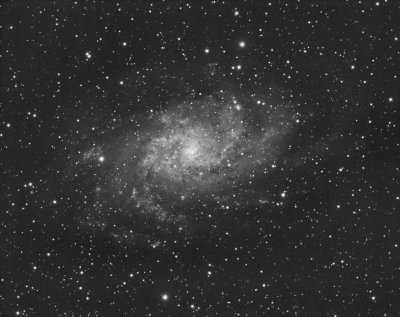 M33_L_1280px.jpg