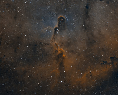 IC1396 BiColor