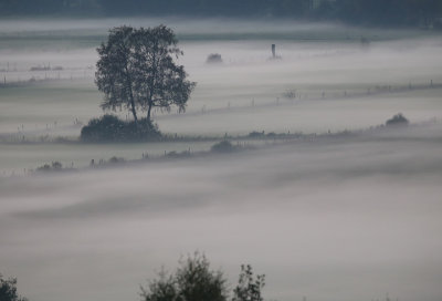 Fog over the marshes