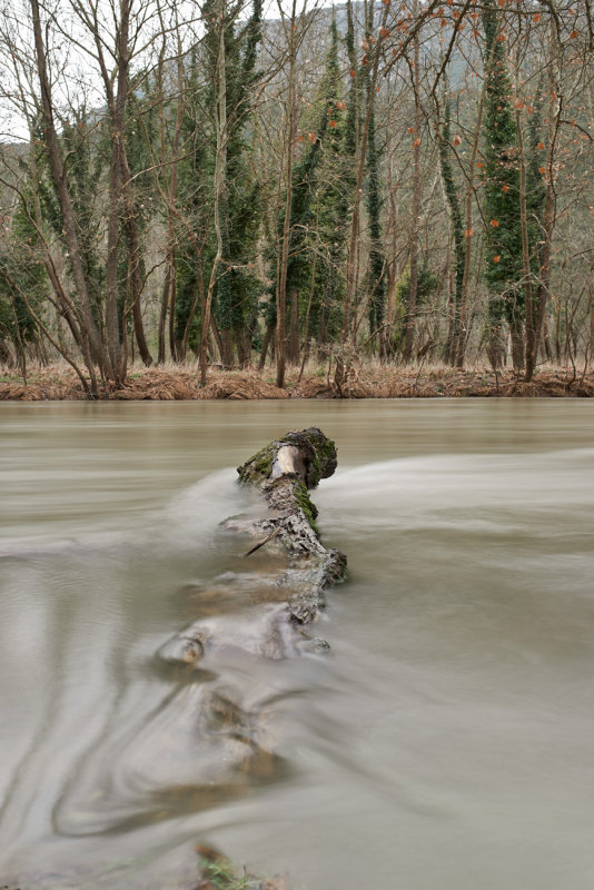 Ladonas river