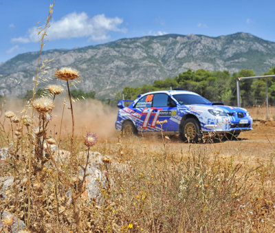 WRC Rally Acropolis 2013  The Rally of Gods